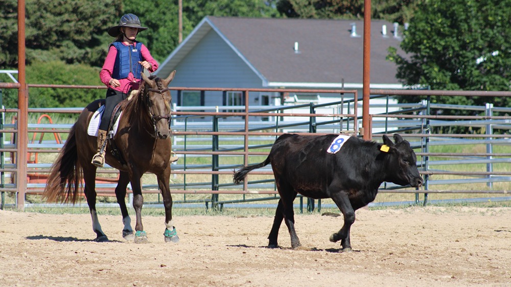 Cattle Trial CNC Missoula Yin Chang'e - 2 (1) Cattle Trial CNC