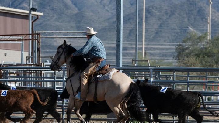 Jim-Groesbeck-riding-Gatao-de-Sena-L5-Open-Reserve-Champion (Small)