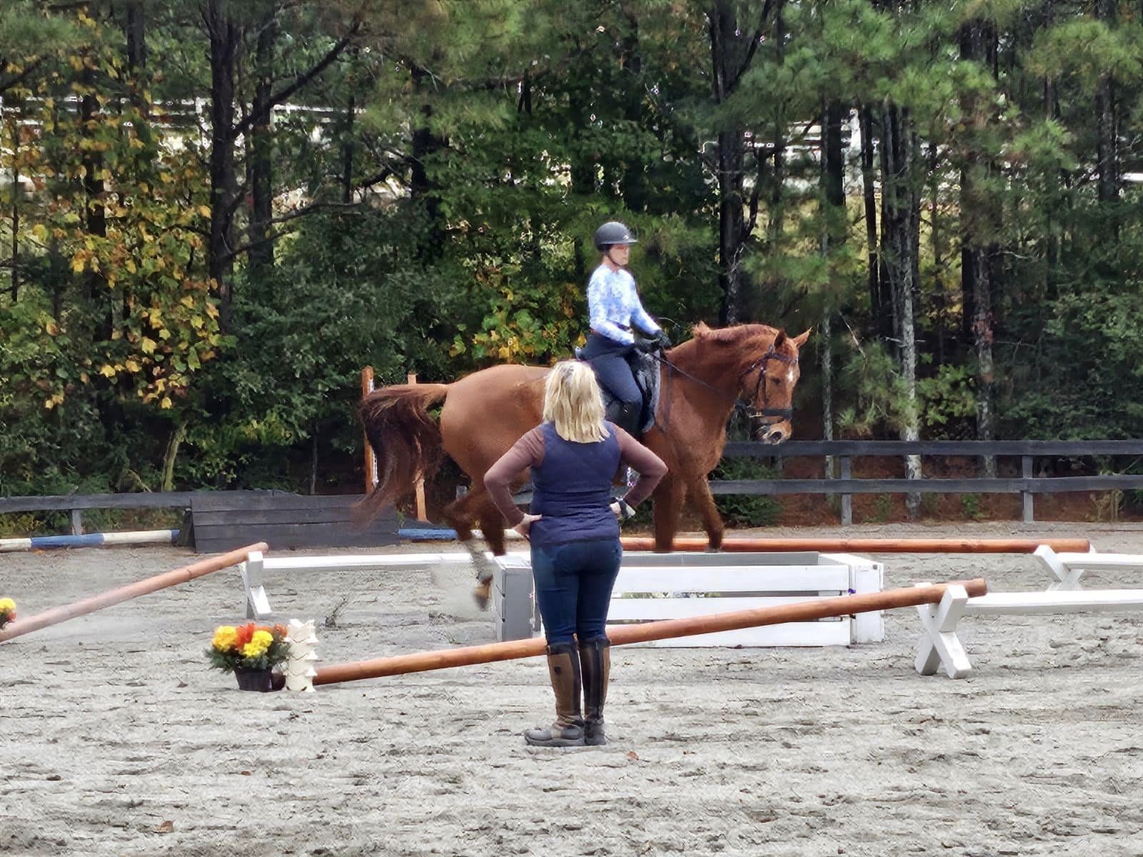 Professional Instructors help riders and horses more successful.