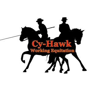 Cy-Hawk WE Logo