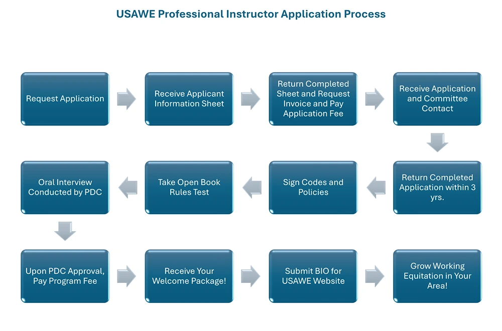 Professional Instructor Application Process Flowchart