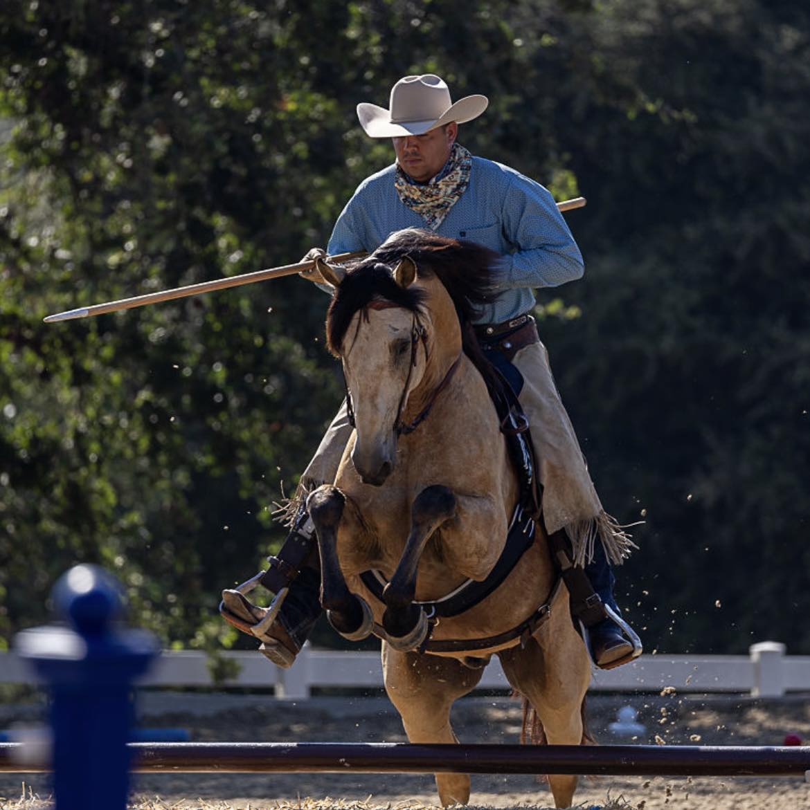 Newly appointed as Co-Chair of the Pro Dev Committee, Seth Marshall competes at L5 at El Campeon Farms, Thousand Oaks, CA .