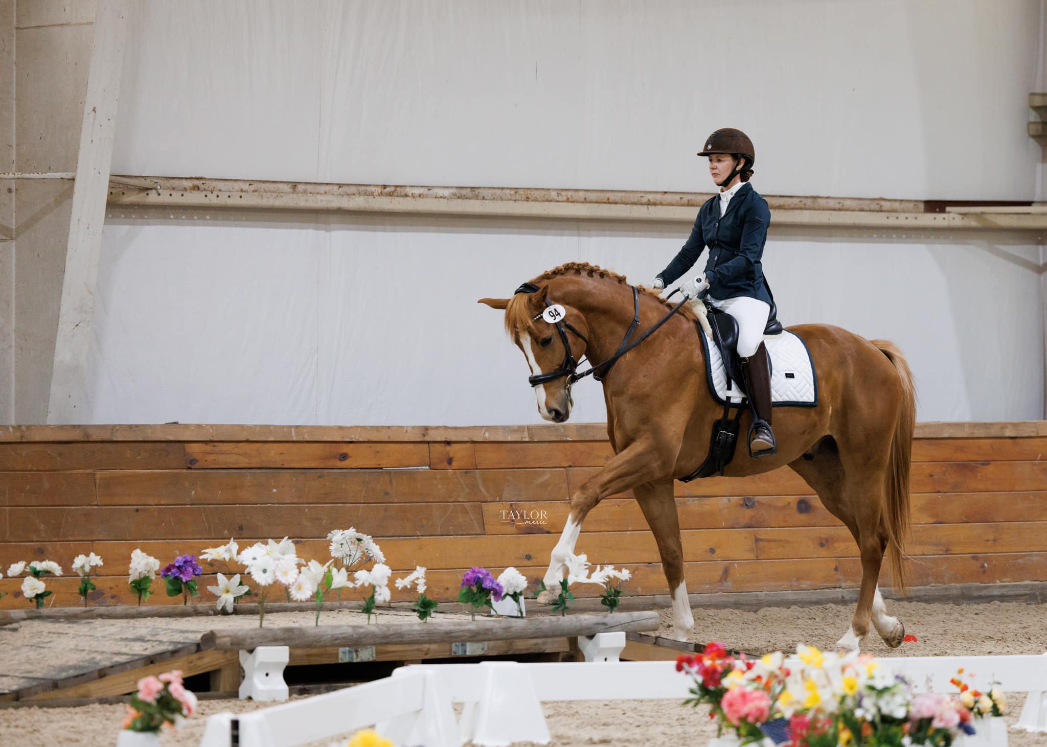 NEWE member Karen Hudson and her young horse Brodie at the USAWE licensed Equanimity Farm show. </p>
<p>