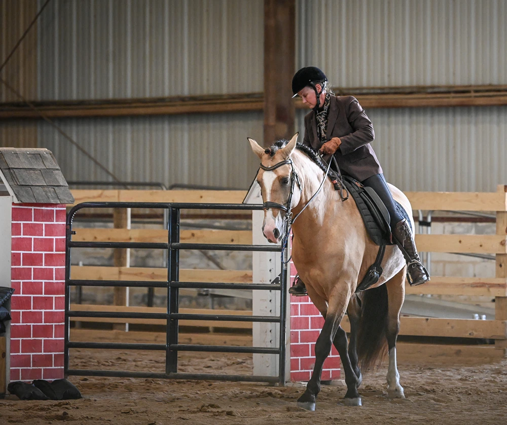 Amie Perryman - Golondrino HB - Aster Equine Photography NOVAWE - June 2024 L3 Gate