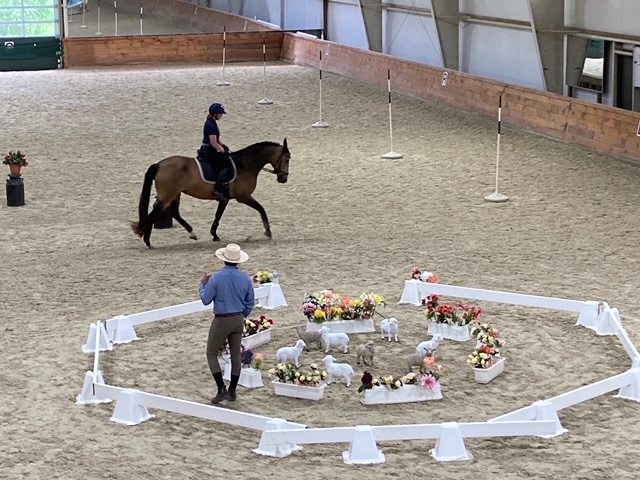 Stephanie Hayes Clinic pic