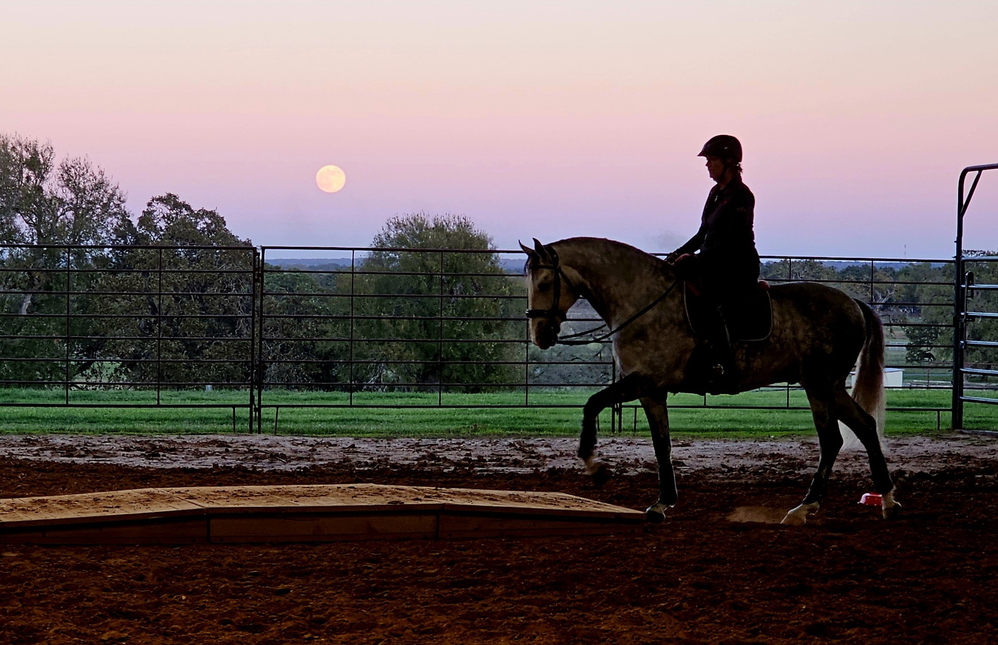 Photo credit - Kellee Campbell </p>
<p>Rider Pati Pierucci and Octogon DC