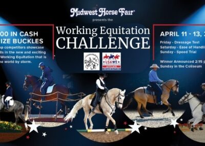 Midwest Horse Fair Working Equitation Challenge