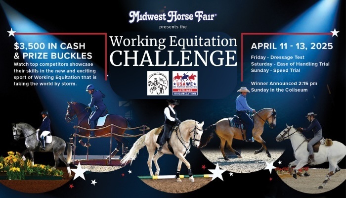 Midwest Horse Fair Working Equitation Challenge 