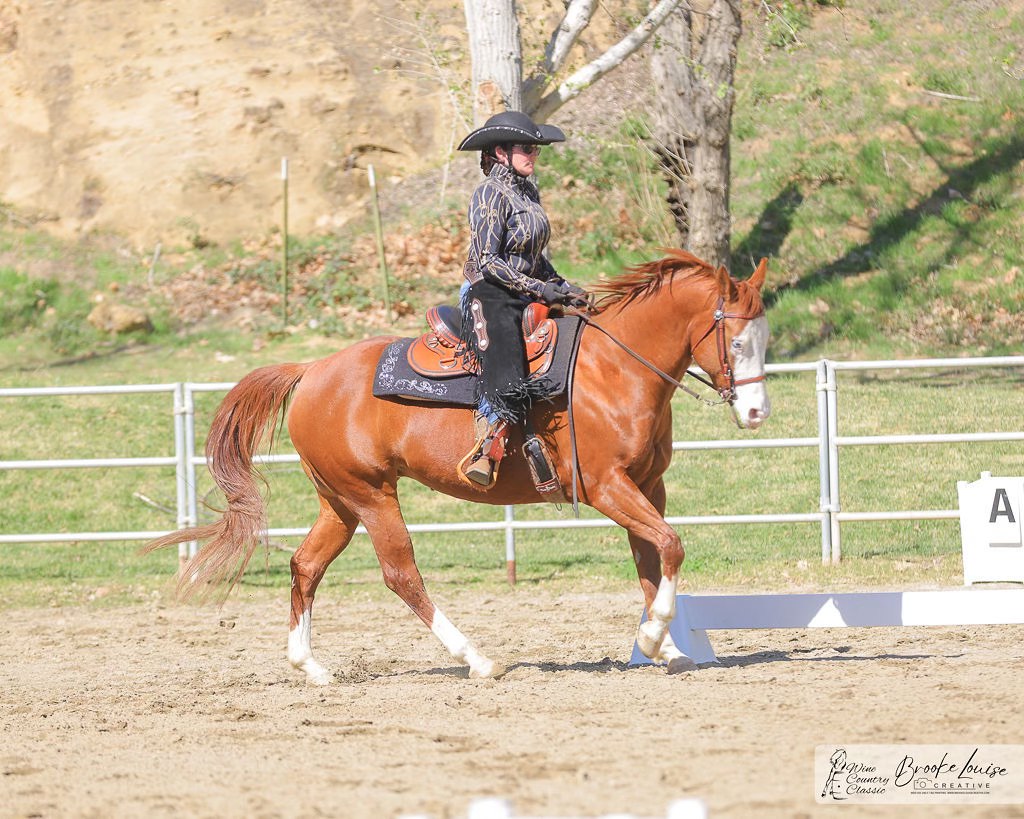 Cattle Trail Working Equitation Flyer