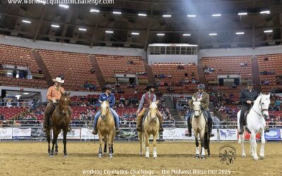 Working Equitation Challenge at The Midwest Horse Fair